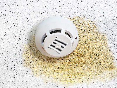 Joe Moore Painting  Images